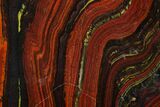 Polished Tiger Iron Stromatolite - Billion Years #129196-1